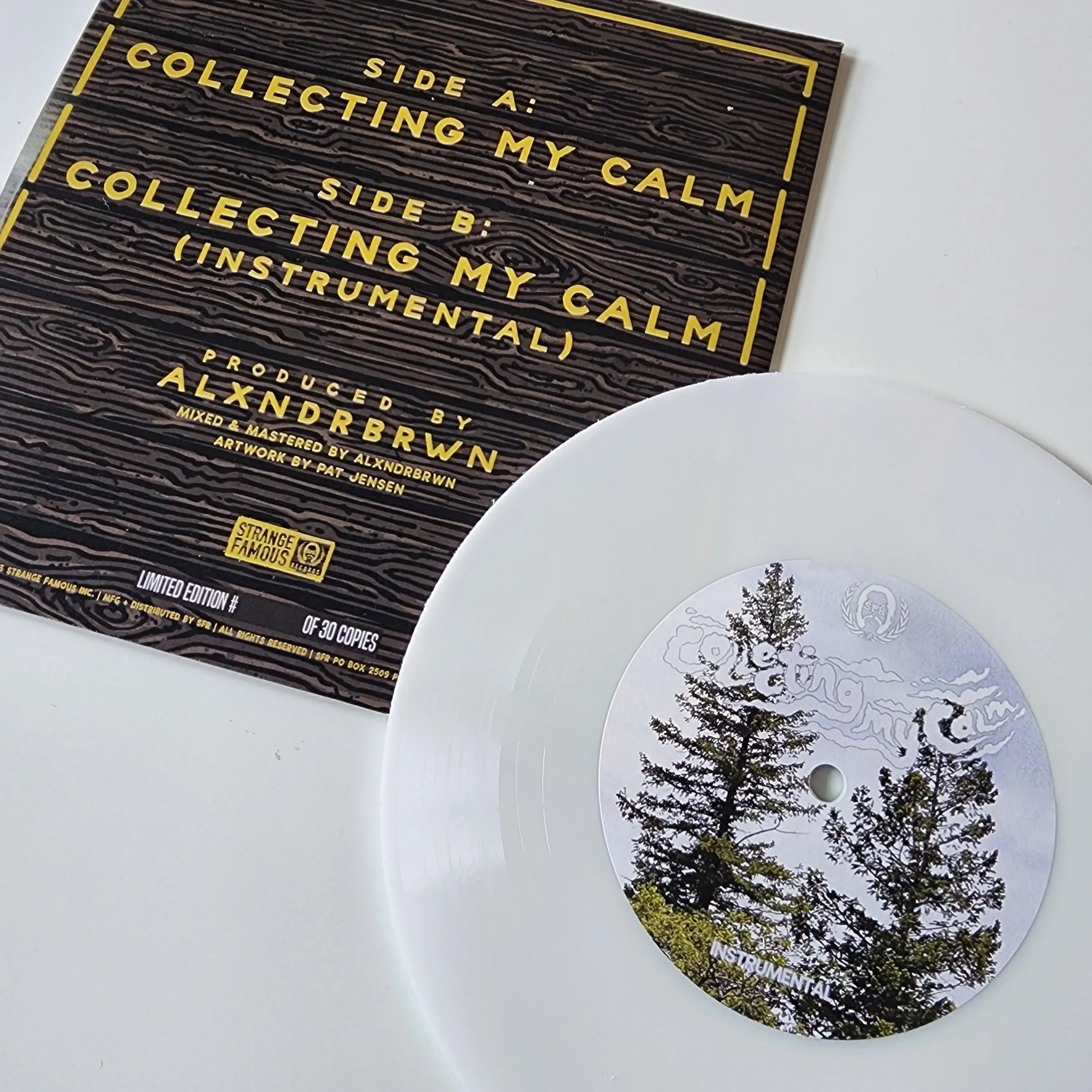 Cas One "Collecting My Calm" 7-Inch Record   MP3