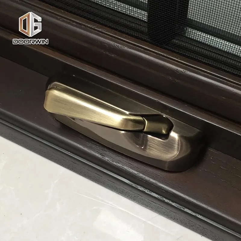 DOORWIN 2021Factory wholesale casement window crank black windows supplier