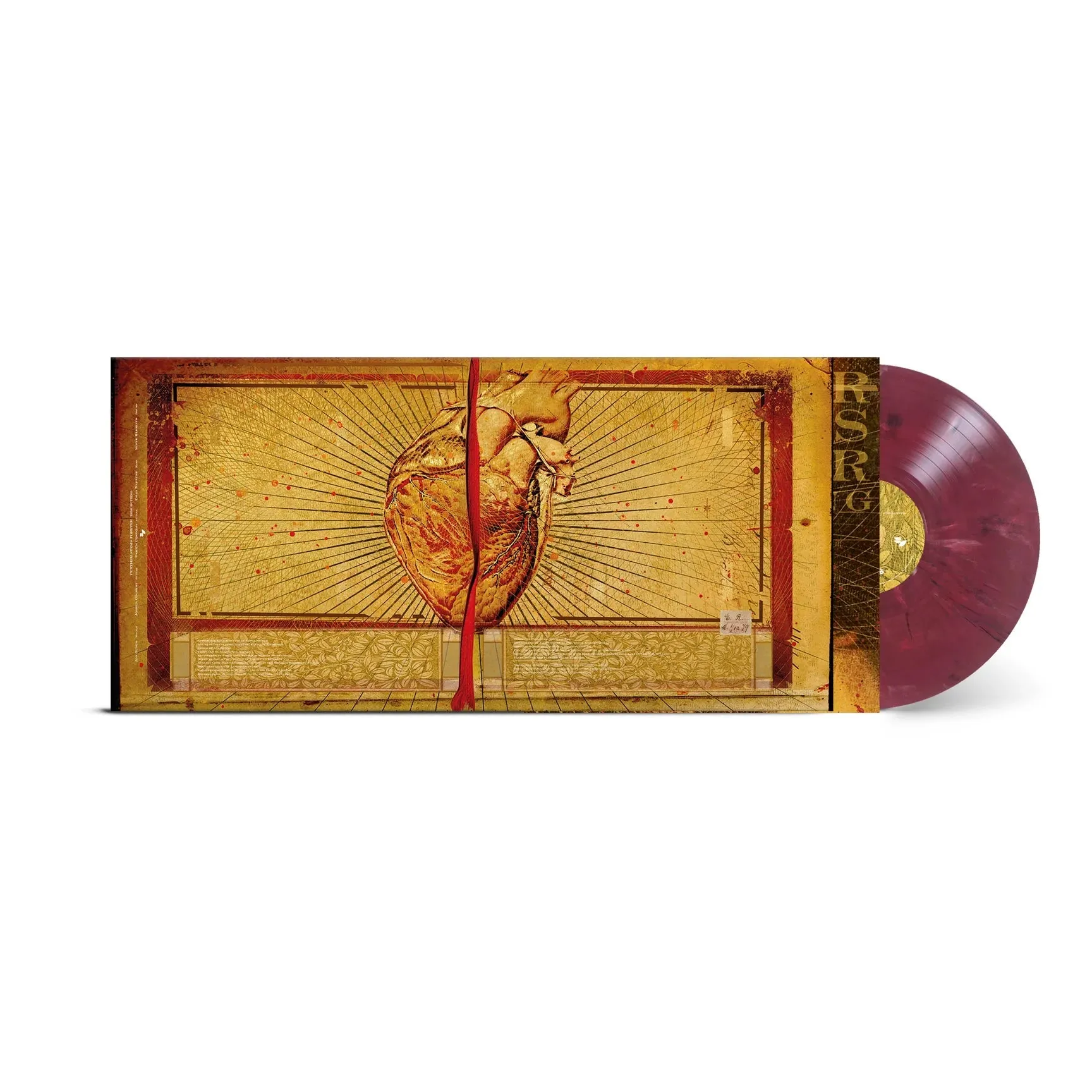 Further Seems Forever: Hide Nothing Burgundy Marble Vinyl LP (Import)